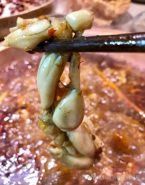 吃瓜金仔大号,网络红人的崛起与影响力