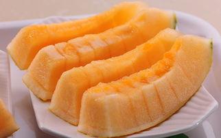 海吃哈密瓜,探寻新疆瓜果的甜蜜传奇