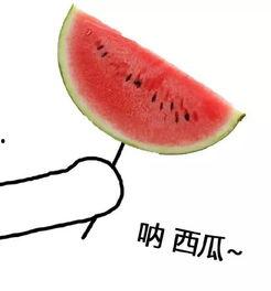 花海求婚吃瓜头像,吃瓜群众见证甜蜜瞬间