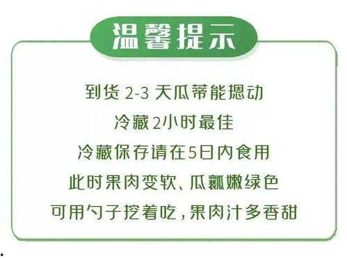 吃瓜大赛流程,一场舌尖上的视觉盛宴