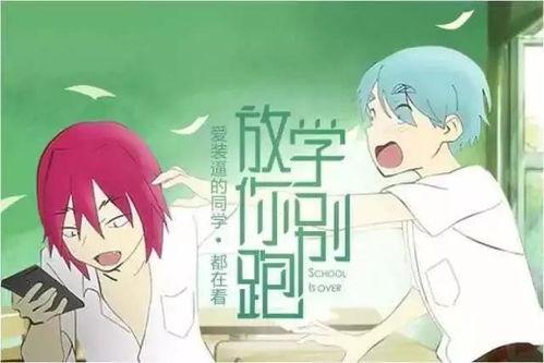 吃瓜犯贱故事,揭秘“犯贱”背后的故事