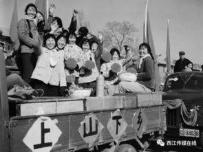 知青下乡吃瓜事件