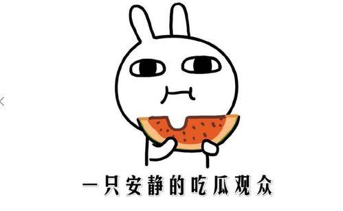 吃瓜抖音免费,轻松解锁海量精彩短视频！