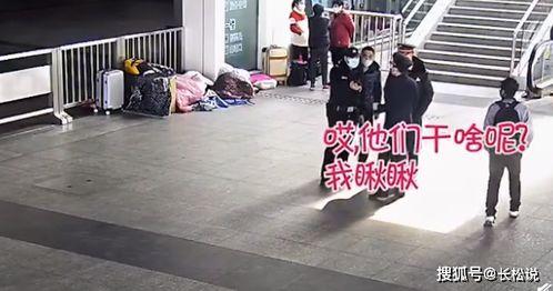 吃瓜犯法被抓,揭秘吃瓜犯法背后的法律边界